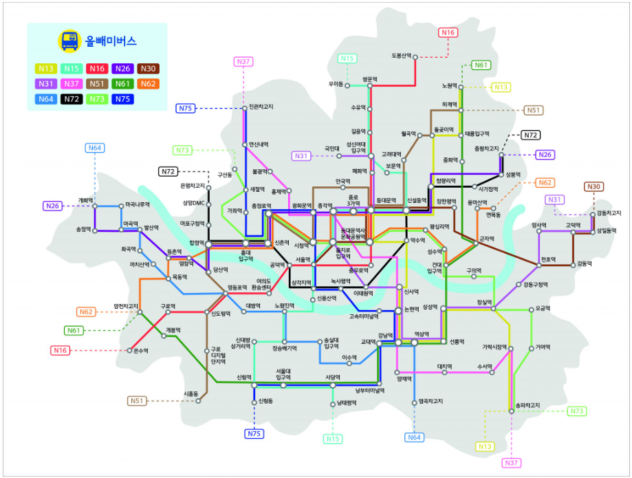 심야 전용버스 노선 확인