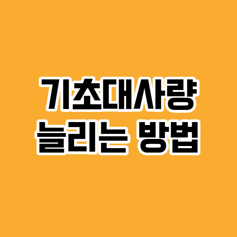 기초대사량 늘리는 방법