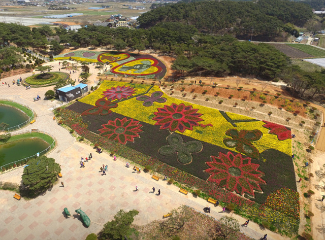 봄꽃구경 가볼만한 곳