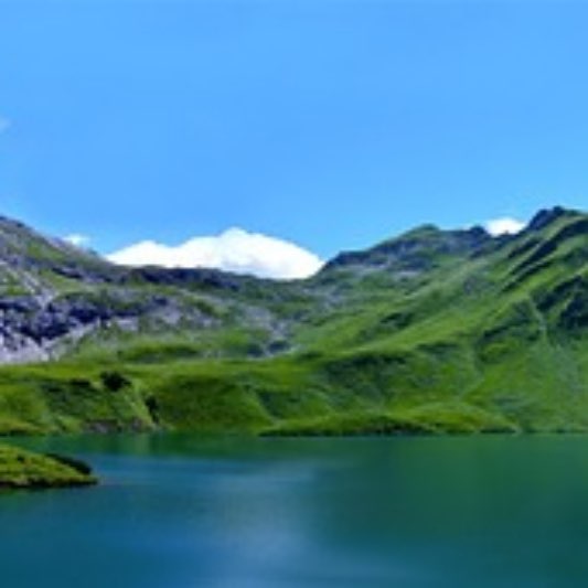 우루과이목초육