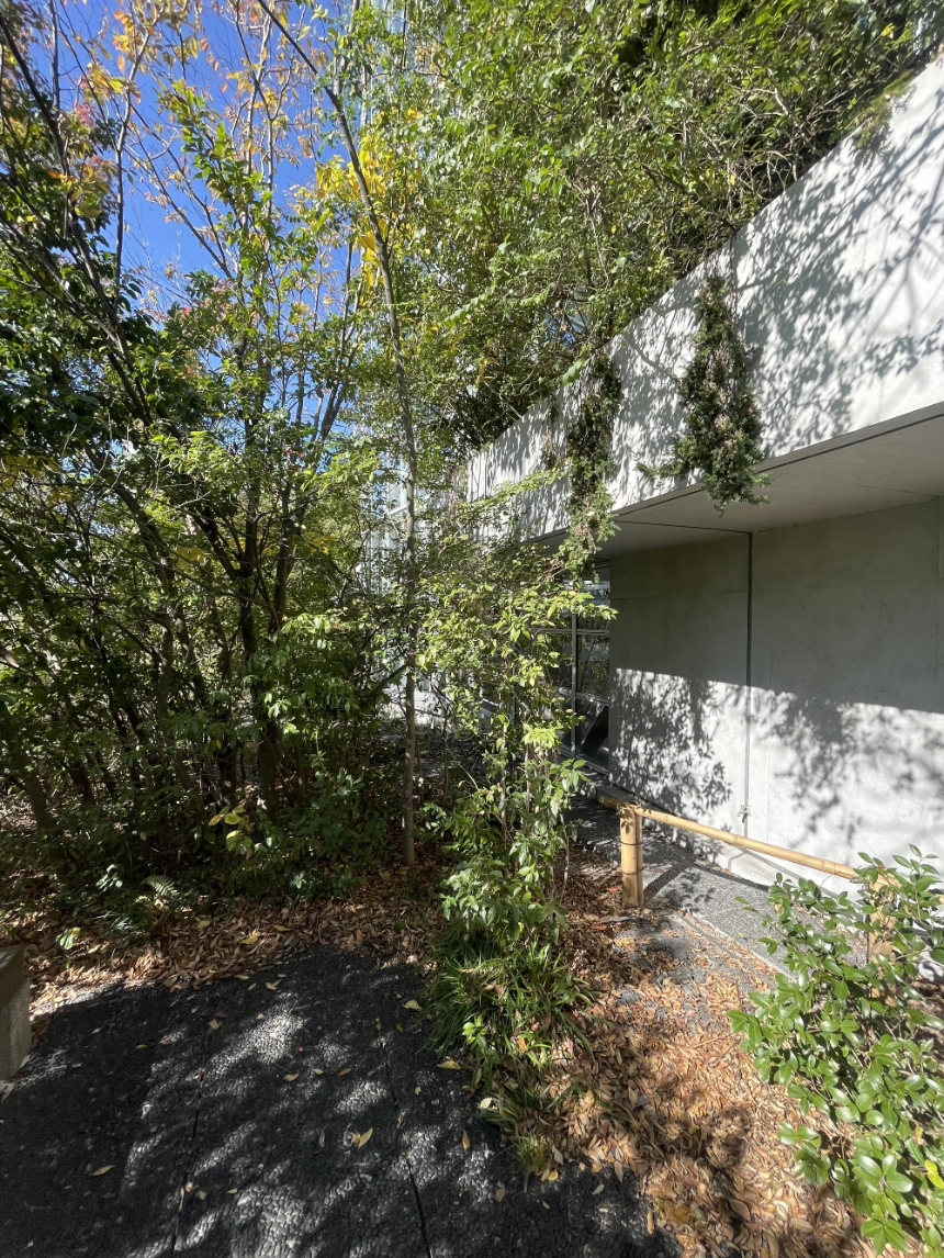 아크로스 후쿠오카 옥상계단5