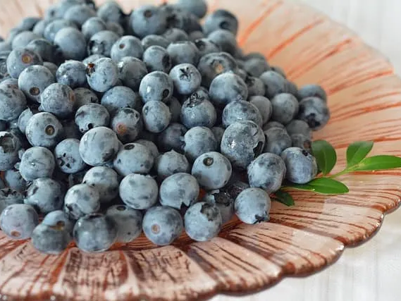 냉동 블루베리 소화에 도움