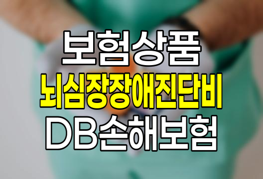 DB손해보험 뇌심장장애진단비 보험 상세 분석