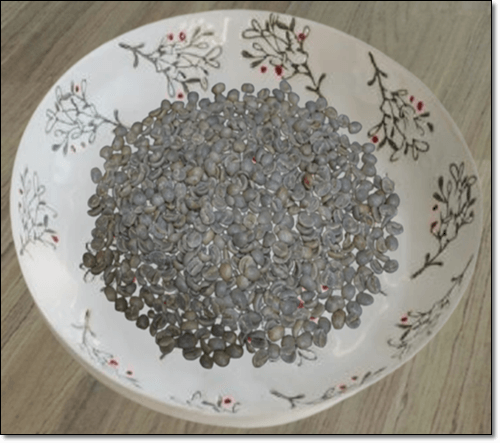 클로로겐산 효능