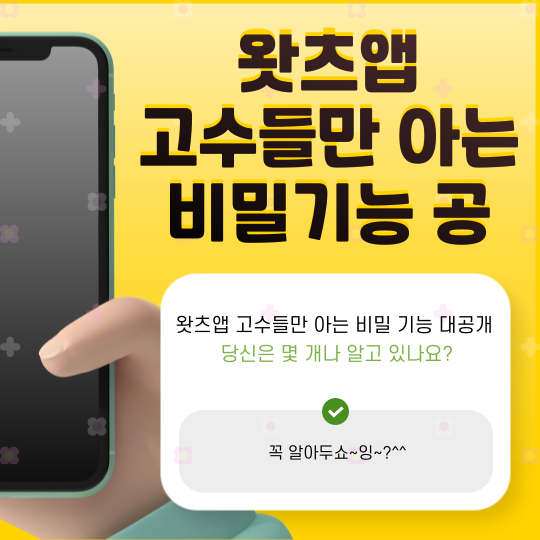 왓츠앱 고수들만 아는 비밀 기능 대공개,당신은 몇 개나 알고 있나요?