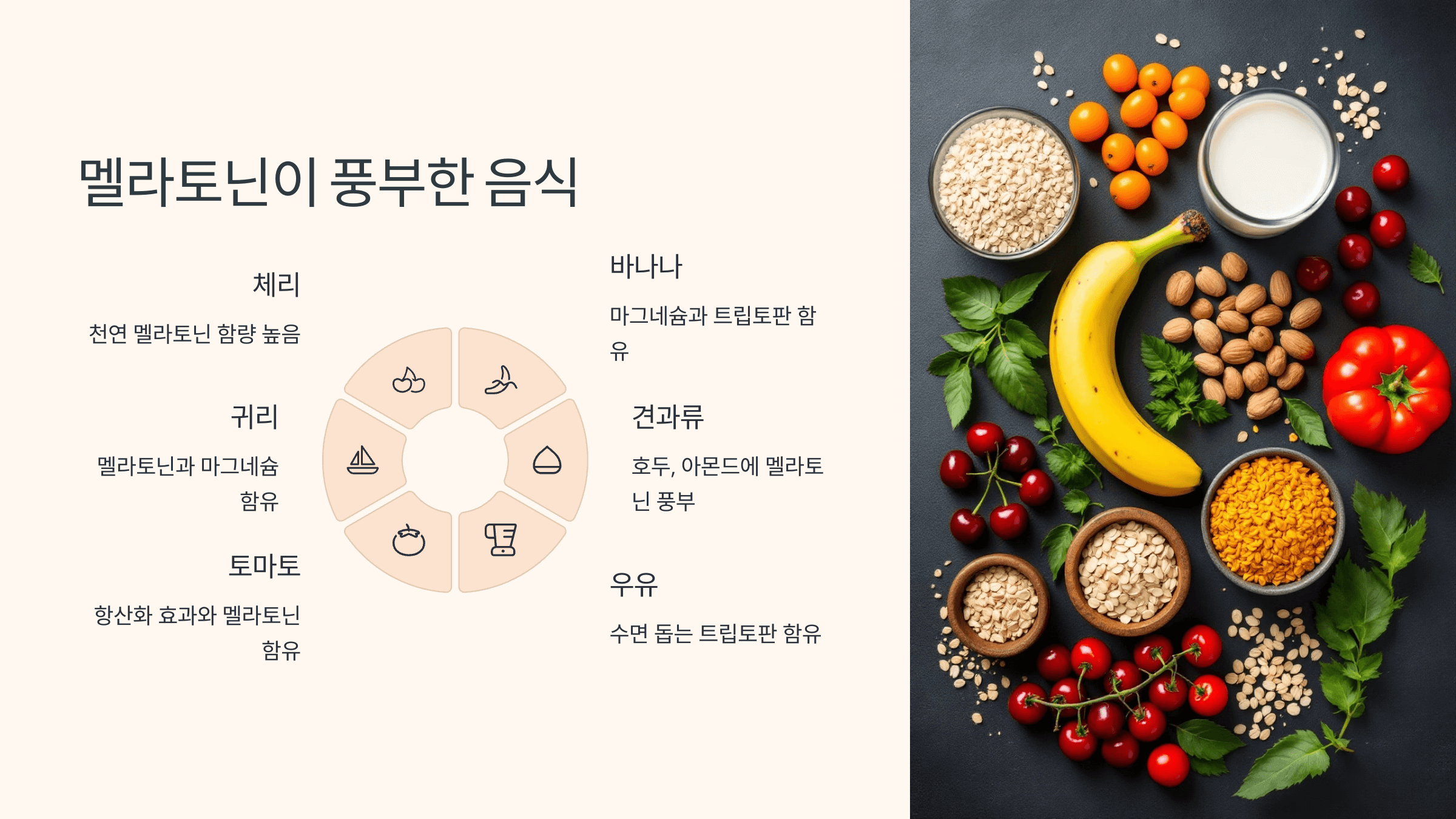 멜라토닌과 관련된 사진입니다.