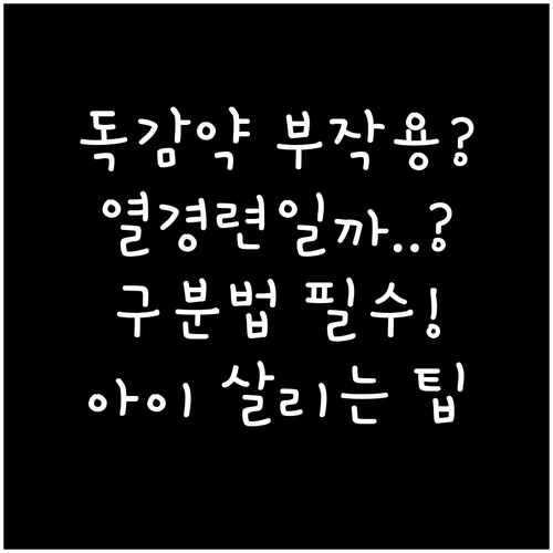 B형 독감 치료제 부작용과 열경련 구..