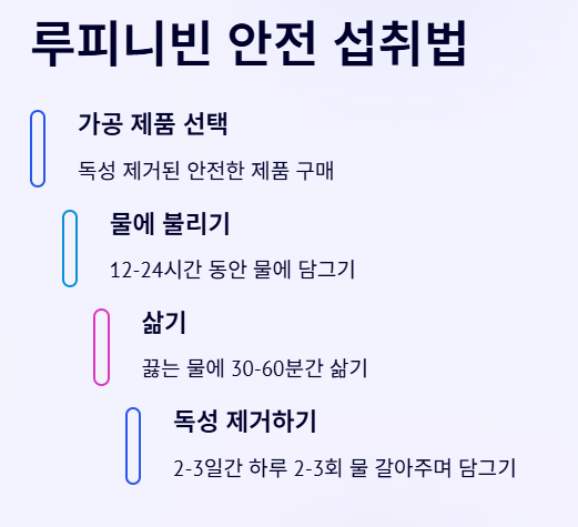 루피니빈 섭취 방법 (안전한 먹는 법)