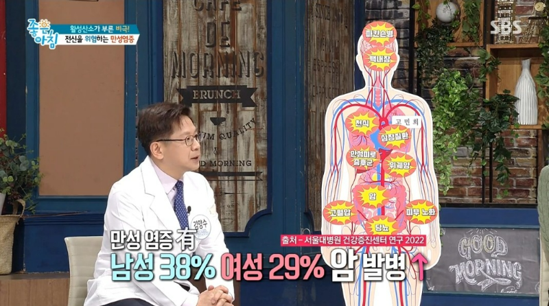 만성 염증 과 질환
