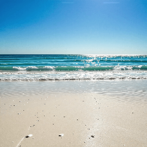 봄맞이 숙박 할인 페스타