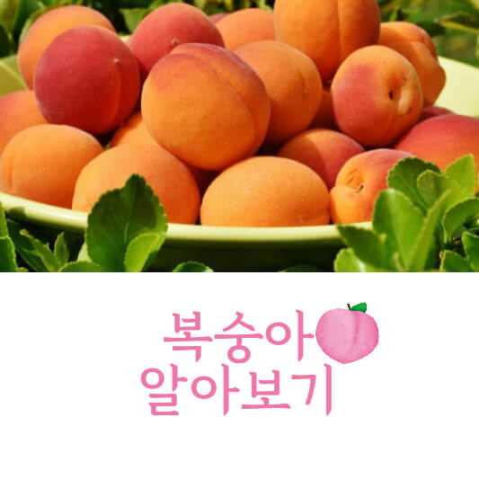 복숭아