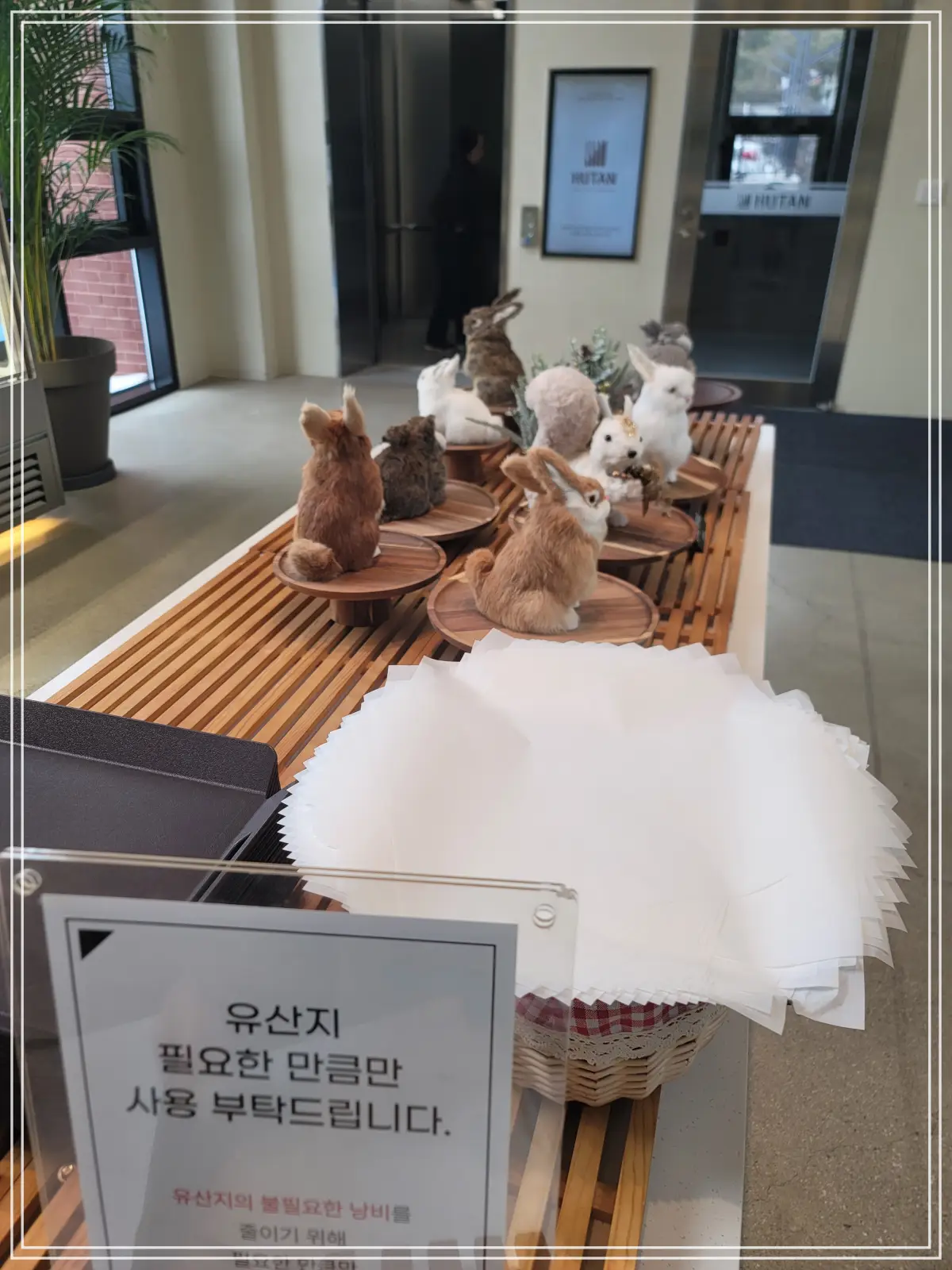 후탄-1층-케익매대-앞-토끼