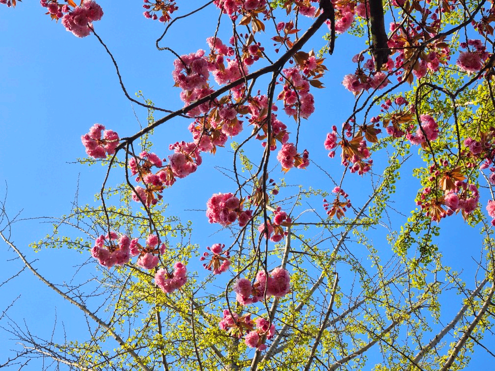 인천 영종도가볼만한 곳: 구읍뱃터 영종진 공원의 해안 산책로, 숲 산책로