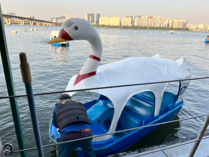 여의도 한강 전동 오리배 모습