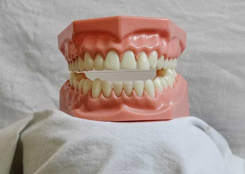 이 모형이 정면에서 보이고 있다