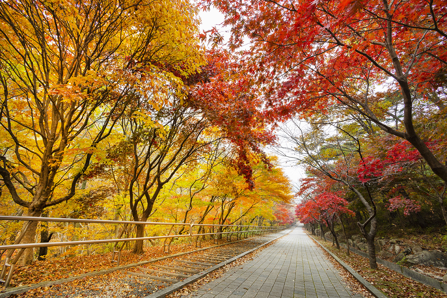대둔산-수락계곡
