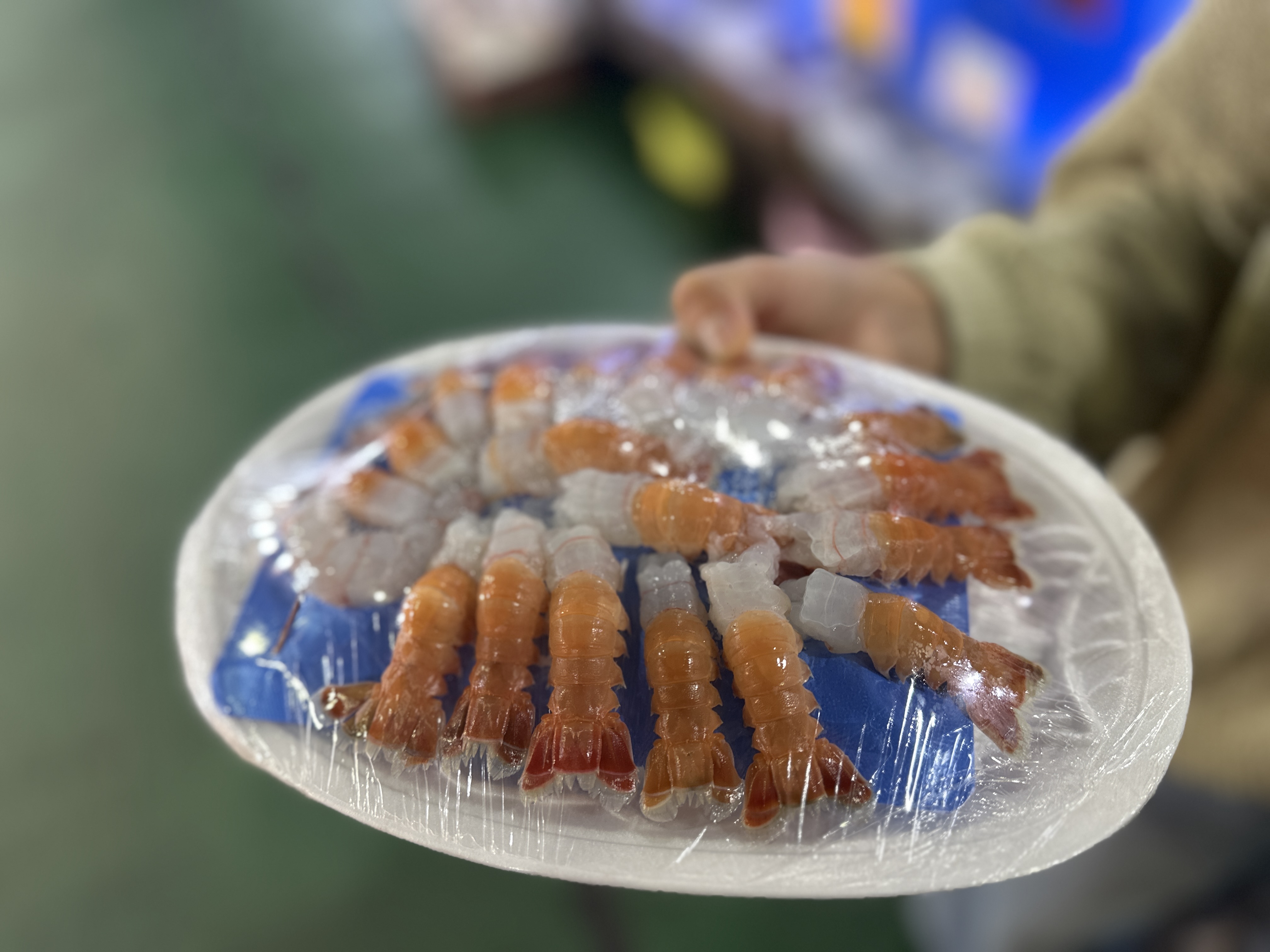 서귀포 매일올레 시장 딱새우