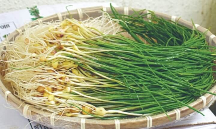 바구니에-담겨있는-달래