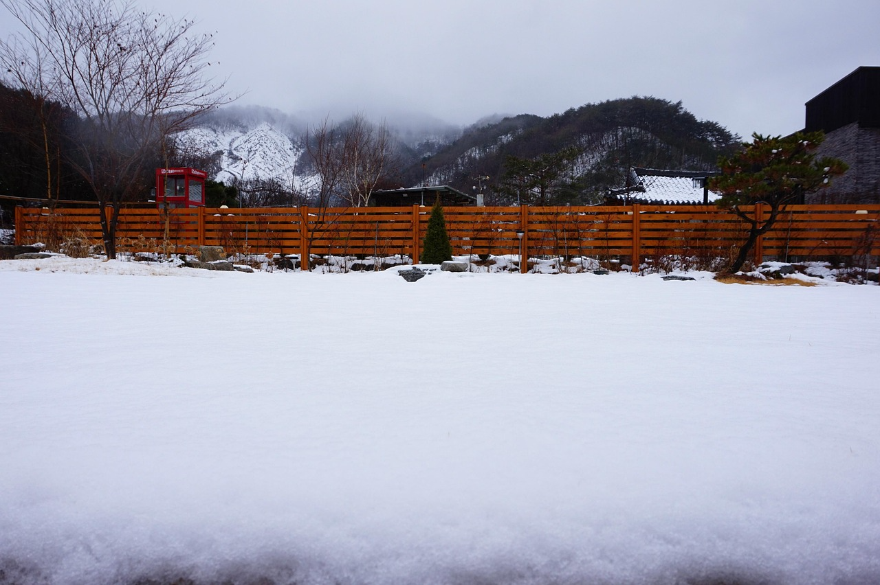 2026년 홍천 부동산 정보 관련 정보