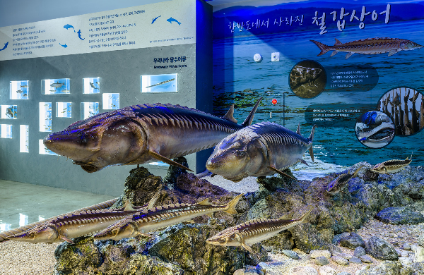 제주해양동물박물관 내부모습
