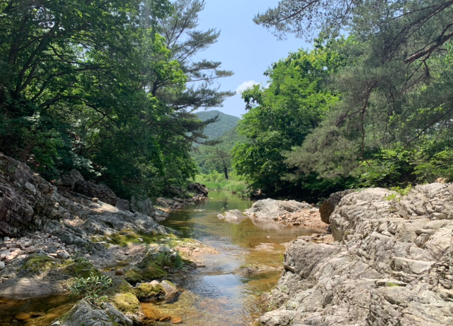보은 1인 가구 생활비 상세 분석 &mdash; 실제 거주 기준으로 보는 월 지출 구조