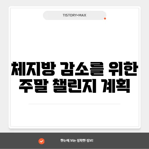 체지방 감소를 위한 주말 챌린지 계획