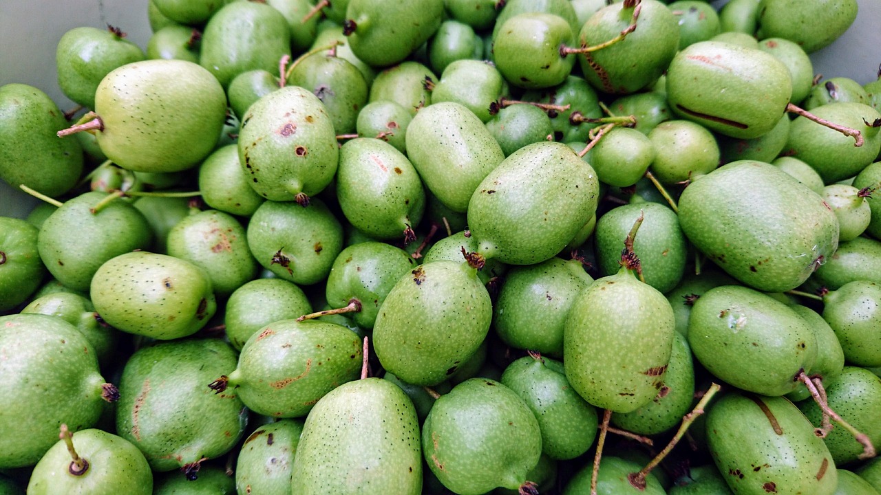 가을의 단맛 과일 참다래 사진