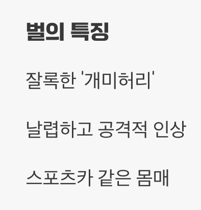 몸매를 보면 알 수 있어요