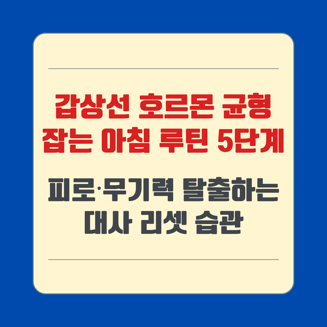 갑상선 호르몬 균형 잡는 아침 루틴 5단계 – 피로·무기력 탈출하는 대사 리셋 습관