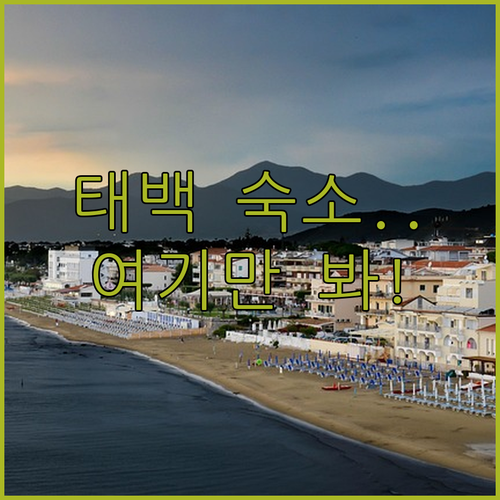 강원도 태백 여행 숙소 위치별 특징과..