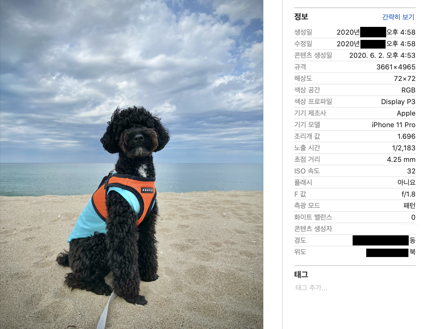 EXIF 제거 전 사진