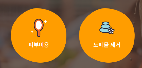 2025 보령머드축제 완벽 가이드