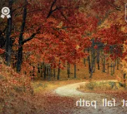 지록위마 뜻