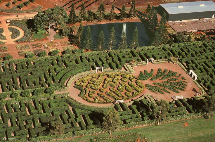 돌 플랜테이션 미로