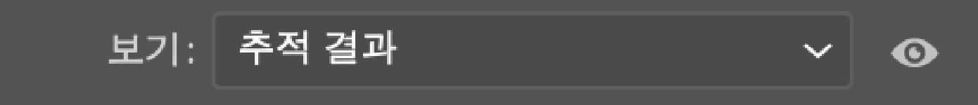 이미지 추적 패널 _ 보기