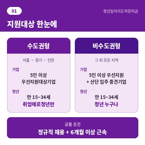 청년일자리도약장려금 수도권형 비수도권형 지원대상 기업 청년 자격 요건 비교
