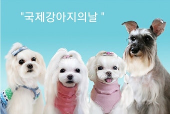 연중 기념일 선물 BEST 10｜이 글 하나면 고민 끝