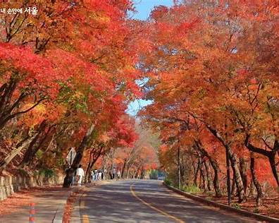 가을 단풍 연인 도심 데이트 아차산