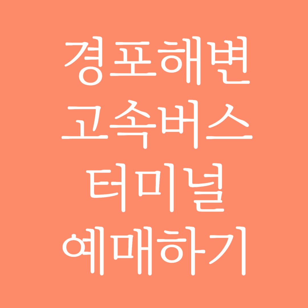 경포해변 고속버스터미널 시간표 조회 및 예매하기