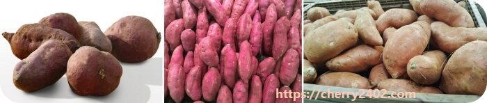 고구마 효능 부작용 고구마 성분