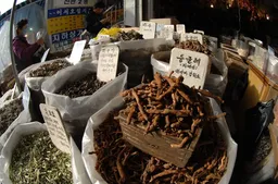 중복 삼계탕 밀키트 비교 리뷰