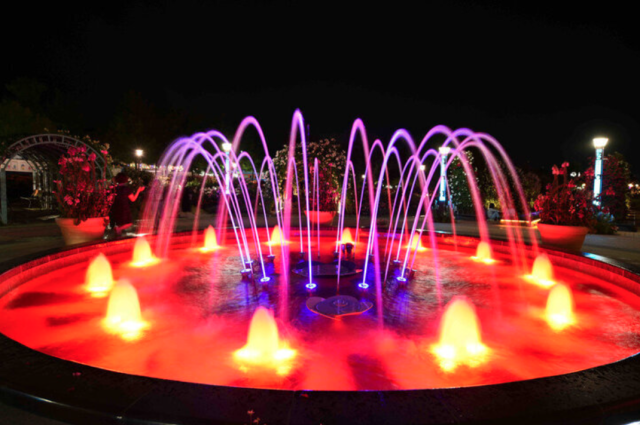 2025 곡성 세계장미축제 