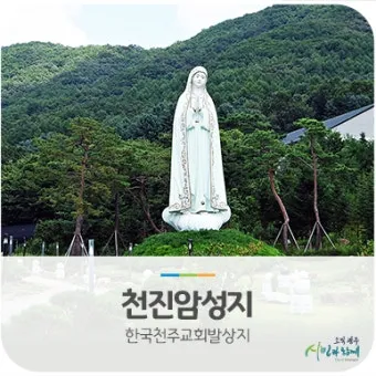 천진암 흰민들레 백양자연관찰로 괭이눈 개화_7