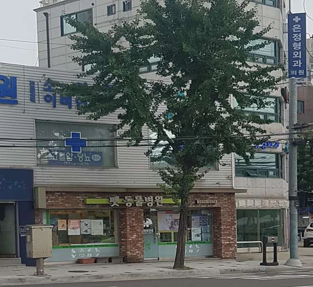 펫 동물병원