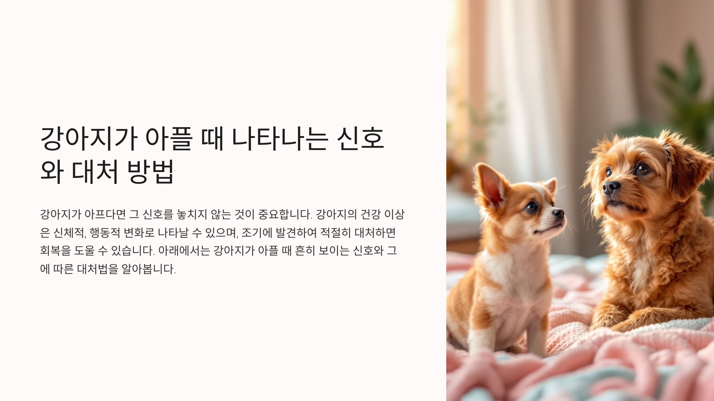 강아지가 아플 때 나타나는 신호와 대처 방법