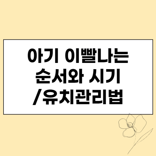 아기 이빨 나는 순서와 시기 썸네일