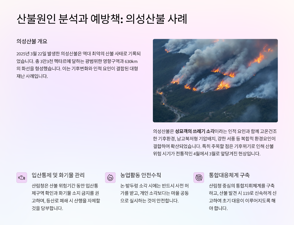 산불원인 분석! 의성산불 사례로 본 예방책은