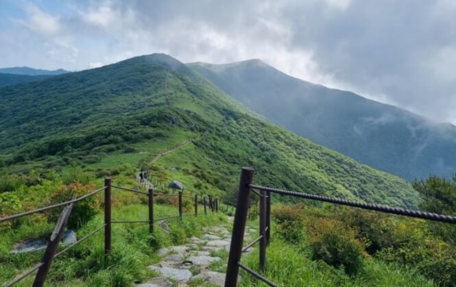 소백산 언덕