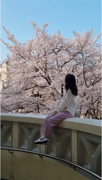 서울 벚꽃 명소 추천 베스트10_24