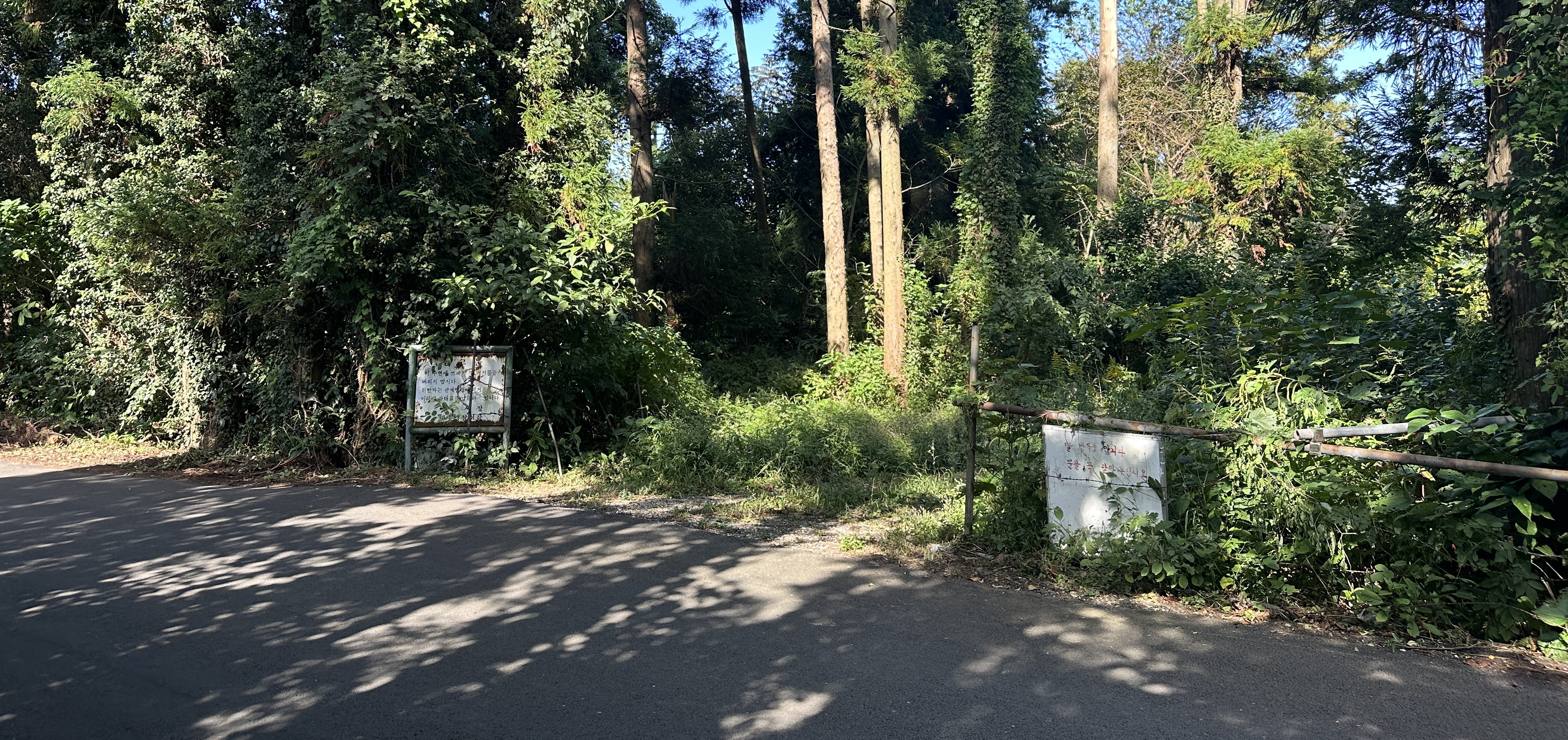 오드싱오름 입구